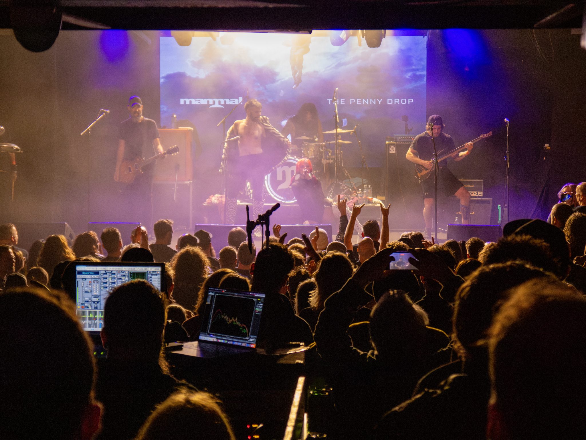 P15 proliferates in leading Australian music venues