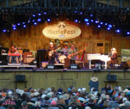 SE SYSTEMS USES STM AT MERLEFEST